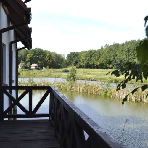 Letní dům (jako celek) pro 6 os. s výhledem na les 