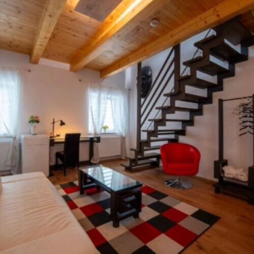 1-Room Air Conditioned Apartment for 2 Persons with Bathtub (extra beds available)