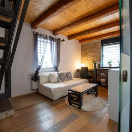 Apartament cu aer condiționat cu cadă cu 1 camera pentru 2 pers.