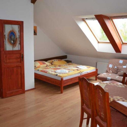 Camera twin deluxe cu duș