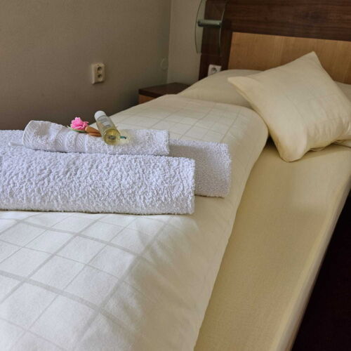 Standard Twin Room with Shower