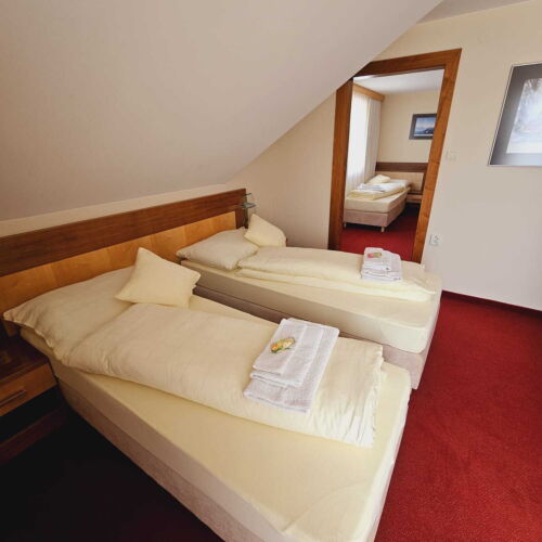 Comfort Triple Room with Shower