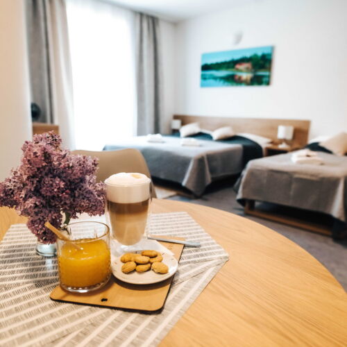 Apartament 3-osobowy z łazienką z aneksem kuchennym z 1 pomieszczeniem sypialnianym (możliwa dostawka)