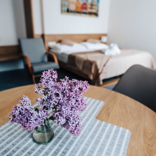 Apartament 2-osobowy z łazienką z 1 pomieszczeniem sypialnianym