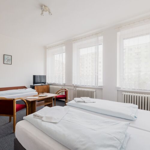 Camera tripla standard cu duș