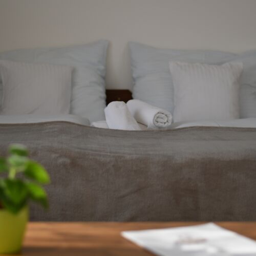 Camera twin standard cu duș