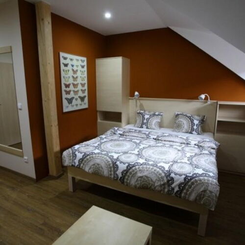 Pokoj se sprchou  pro 2 os. (s možností přistýlky)