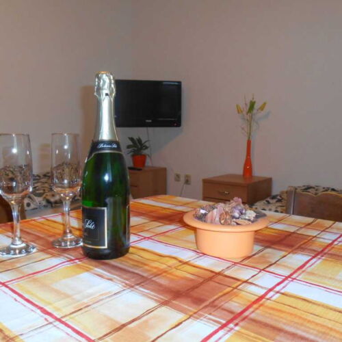 Pokoj se sprchou s vlastní kuchyňkou pro 1 os.