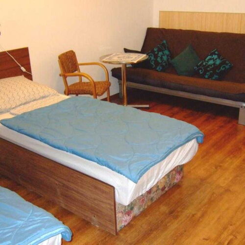 Deluxe Pokoj se společnou kuchyňkou s manželskou postelí