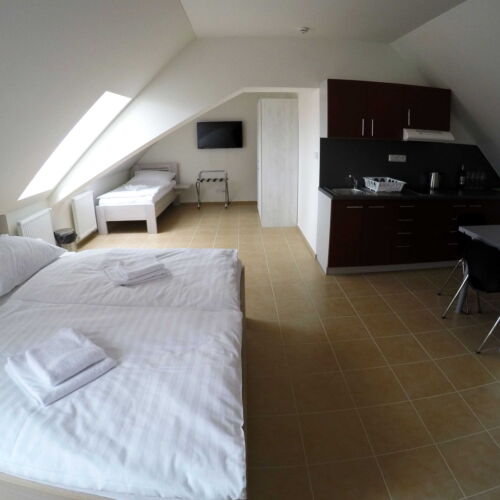 Apartman se sprchou s vlastní kuchyňkou pro 3 os. s 1 ložnicí