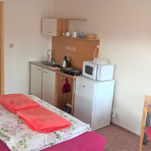 Pokój 2-osobowy z prysznicem z własną kuchnią