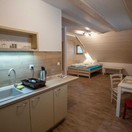 Apartman se sprchou s vlastní kuchyňkou pro 4 os. s 1 ložnicí