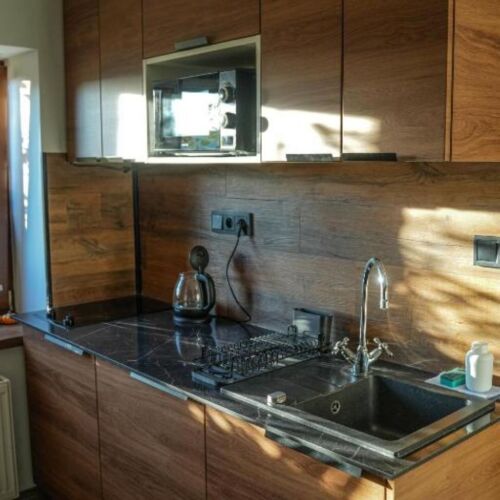 1-Room Apartment for 2 Persons with Shower and Kitchenette (extra bed available)