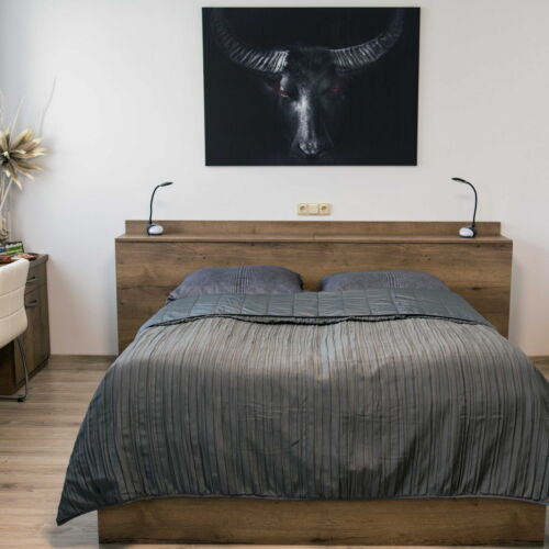 Camera twin cu duș cu chicinetă proprie