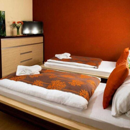 Pokój 2-osobowy Standard z prysznicem (możliwa dostawka)