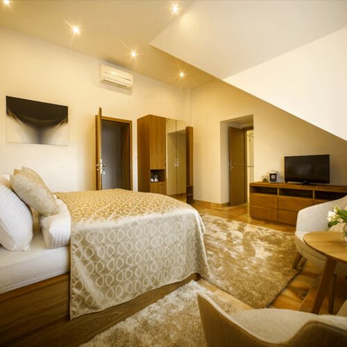 Deluxe 1-Room Apartment for 2 Persons (extra beds available)