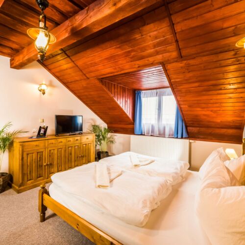 Camera twin cu cadita de dus