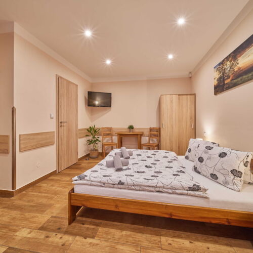 Camera dubla cu duș cu chicinetă comună