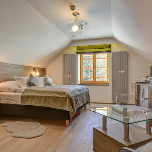 Superior Pokoj se sprchou s manželskou postelí