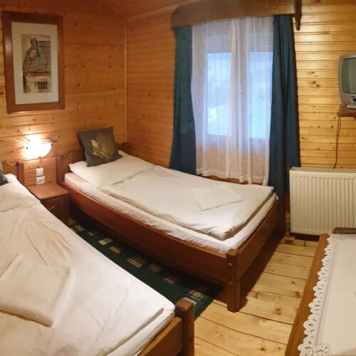 Mountain View Upstairs Twin Room