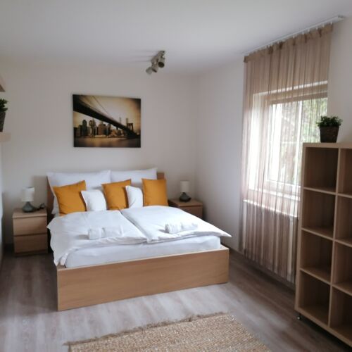 Camera dubla la parter cu vedere spre curte