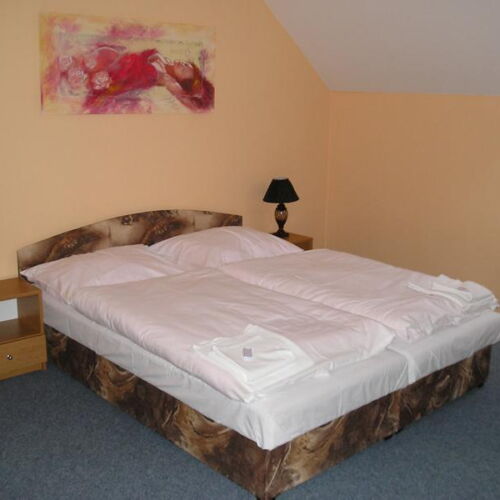 Pokoj se sprchou  pro 2 os.