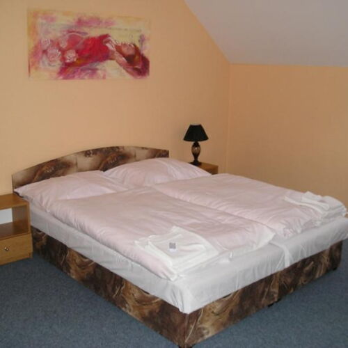 Dvoulůžkový se společným sociálním zařízením pro 2pokoje (1 apartmán)