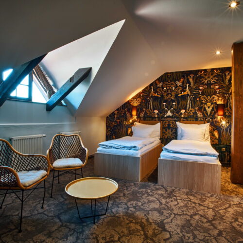 Standard Pokoj se sprchou pro 2 os. (s možností přistýlky)