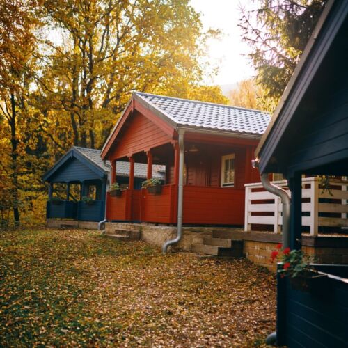 Chata 4-osobowy z aneksem kuchennym z widokiem na las (możliwa dostawka)