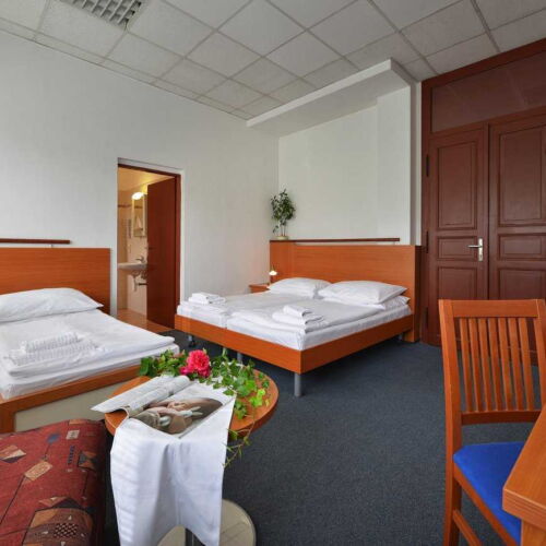 Pokój 3-osobowy z prysznicem