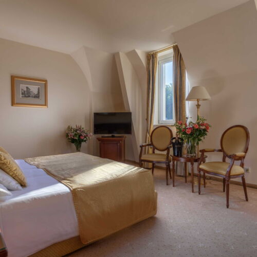 Superior Pokoj se sprchou pro 2 os. (s možností přistýlky)