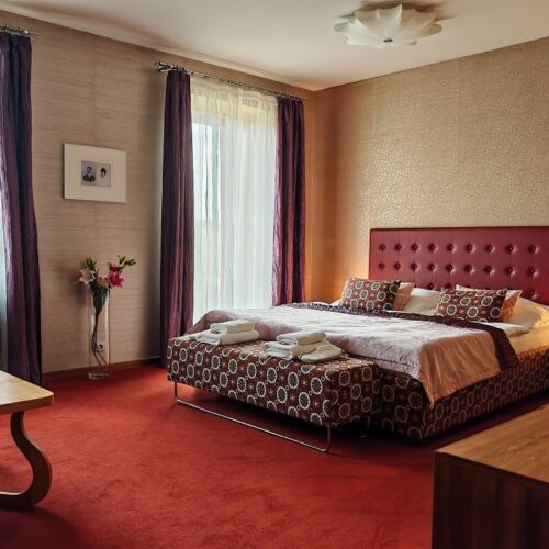 Superior Pokoj se sprchou pro 2 os. (s možností přistýlky)