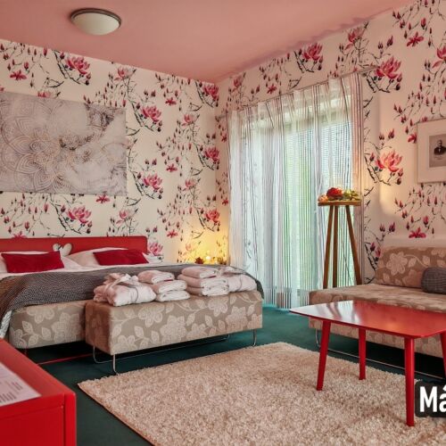 Pokoj se sprchou  pro 2 os. (s možností přistýlky)