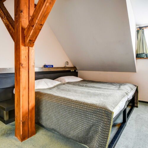 Superior Pokoj se sprchou pro 2 os. (s možností přistýlky)