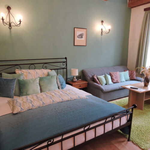 Camera dubla standard cu baie (se poate solicita pat suplimentar)