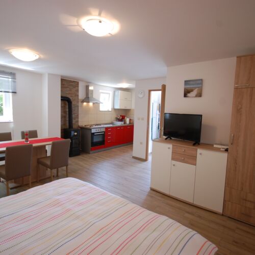 Apartament 2-osobowy Standard Studio z 1 pomieszczeniem sypialnianym (możliwa dostawka)