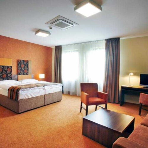 Camera twin deluxe cu duș (se poate solicita pat suplimentar)