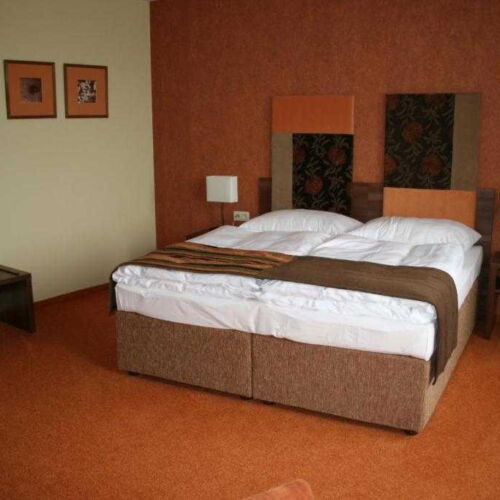 Camera twin standard cu duș