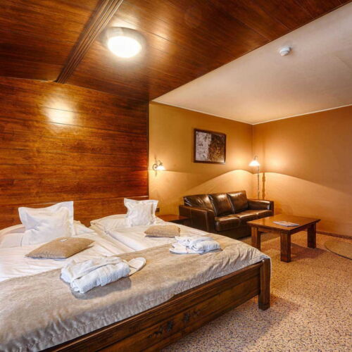 Pokój 2-osobowy z prysznicem z balkonem (możliwa dostawka)