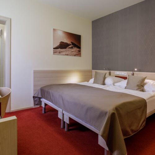 Standard Pokoj se sprchou s manželskou postelí