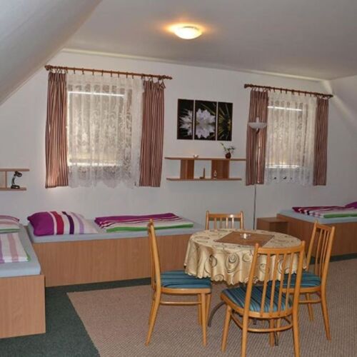 Pokoj se sprchou  pro 4 os.