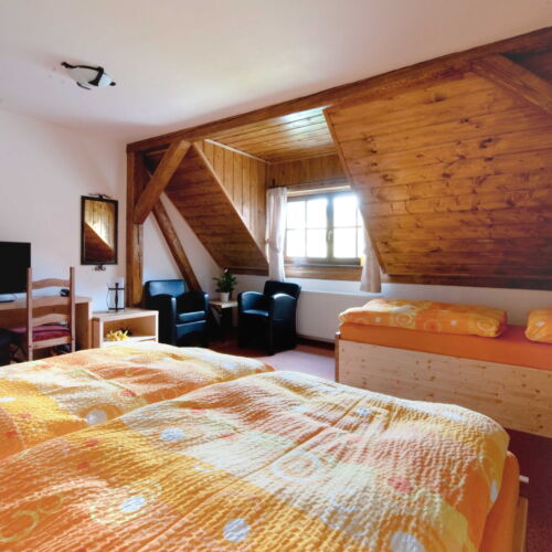 Pokoj se sprchou  pro 3 os.