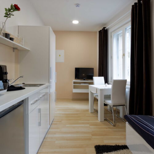 Apartman se sprchou s vlastní kuchyňkou pro 1 os. s 1 ložnicí