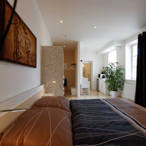 Apartman se sprchou s vlastní kuchyňkou s manželskou postelí s 1 ložnicí