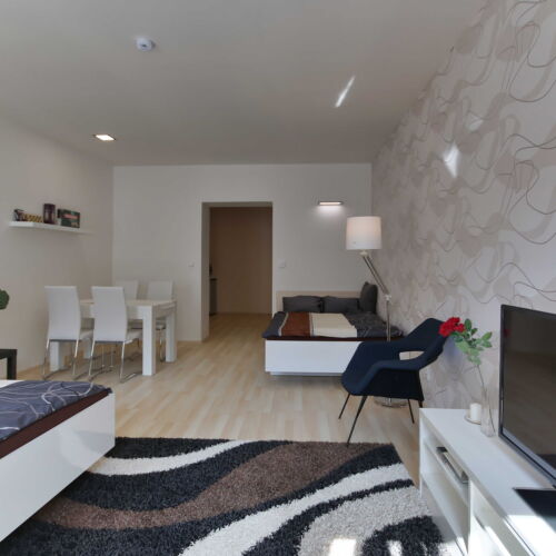 Apartman se sprchou s vlastní kuchyňkou pro 3 os. s 1 ložnicí