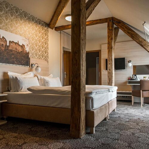 Camera twin standard cu duș