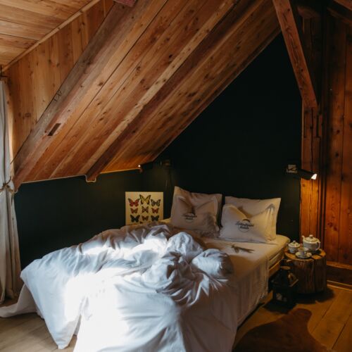 Design Apartman pro 8 os. se 3 ložnicemi s výhledem na les