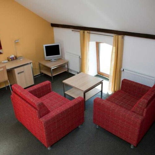 Standard Apartman se sprchou s manželskou postelí s 1 ložnicí (s možností přistýlky)