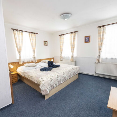 Standard Pokoj se sprchou s manželskou postelí