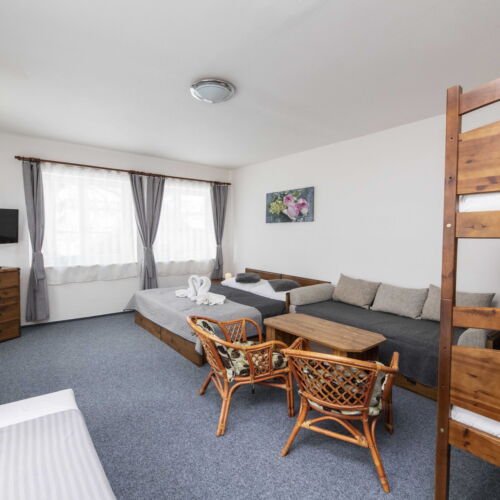 Standard Pokoj se sprchou pro 5 os.